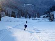 Pista Weirerteich-Loipe