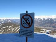 Protezione della foresta