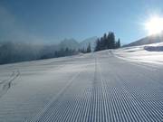 Ottima preparazione delle piste