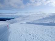 Vista sulla cima Yllästunturi