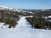 Pista 36 (Reitti Mastolta)