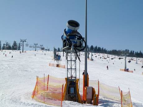 Sicurezza neve Piccola Polonia – Sicurezza neve Białka Tatrzańska - Kotelnica/Kaniówka/Bania