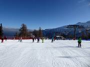 Pista facile Bamby a Folgàrida