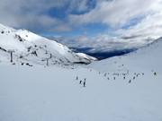 Pista facile Alta Green