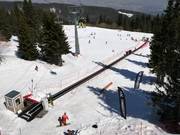 K. Mecha Poliana - Tapis roulant