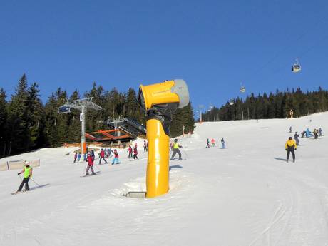 Sicurezza neve Repubblica Ceca – Sicurezza neve Černá hora - Janské Lázně