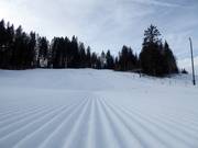 Pista da sci presso lo skilift Barmsee