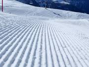 Discesa perfettamente preparata a Bellwald