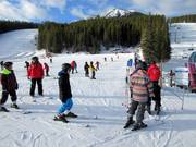 Monster Magic Carpet - Tapis roulant/Tappeto Magico