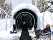 Caterpillar - Tapis roulant/Tappeto Magico con galleria