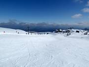 Pista di esercitazione presso Wintergarden Platter