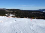 Pista di slalom gigante parallelo