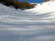 Pista nera Olympique