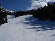 Perfette discese tra i boschi