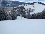 Discesa difficile Beaver Dick's