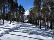 Discesa a valle Heimfahrtspiste