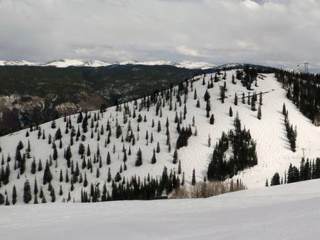 Comprensori sciistici per sciatori esperti e freeriding Sawatch Range – Sciatori esperti, freerider Aspen Mountain