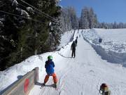 Koglmooslift - Skilift a piattello