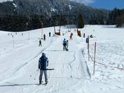 Faschinglift II - Skilift a piattello