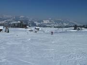 La pista Eichhörnchen-Schuss