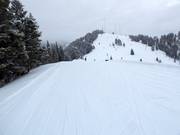 Accesso alla Sun Bowl