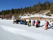 Carrozza trainata da cavalli alla fine della pista n. 1 Armentarola
