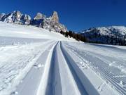 Pista da fondo in quota perfettamente preparata al Passo Rolle