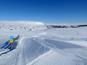 Facile pista di collegamento Rypestien