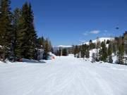 Pista facile Märchenwald-Abfahrt