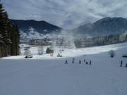 Qui i principianti si trovano a loro agio.