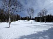 Pista facile a media difficoltà Des Bouleaux