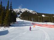 Pista facile Cascade