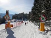 Discesa Märchenabfahrt al Rittisberg