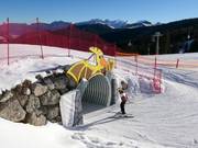 Triassic Funline Steinplatte