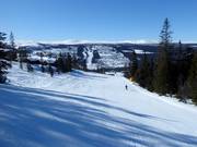 Pista facile Nybegynnerbakken