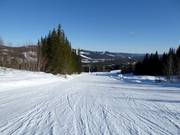 Pista intermedia n. 15