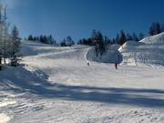 Ampie piste al Großsee