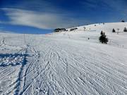 Piccola discesa Belchen