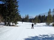 Facile discesa Bayernhaus