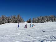 Presso lo skilift per principianti Obergassalm, i principianti sono in ottime mani.