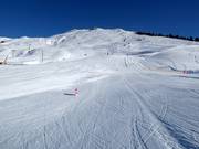 Pista di allenamento Alp da Munt