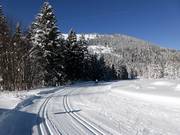 La pista da fondo si snoda lungo il passo