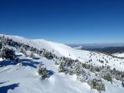 Vista dalla seggiovia esaposto Krčmar verso il Pančićev vrh