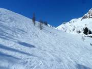 Area freeride al Zweitausender