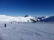 Piste facili presso lo skilift Ganzeralmlift