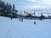 Adatto ai principianti