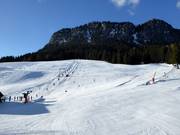 Piste presso la seggiovia Grafenwiesenlift