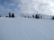 Pista facile presso lo skilift Aurinkosompa