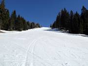 Pista Vrh Krvavca-Gradišče