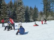 Divertimento per tutta la famiglia sulla pista da slittino